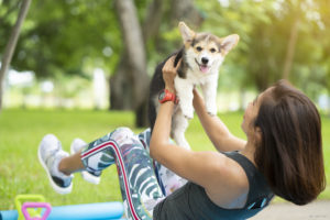 Workouts with Our Canine Friends